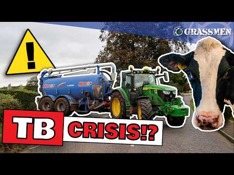 Why the Cows Come First...Connolly Farms - Part 2