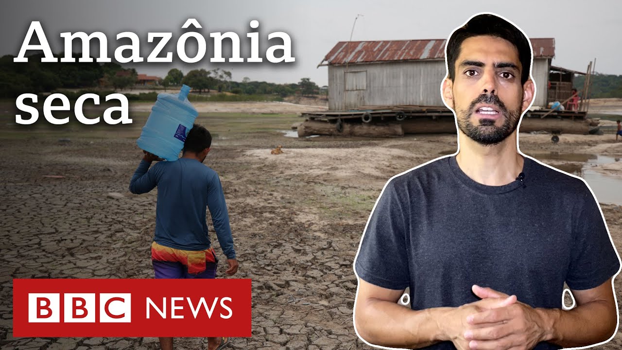 Os fatores para a seca dramática que está atingindo os rios da Amazônia