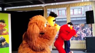 Sesamstraat in Leidsenhage