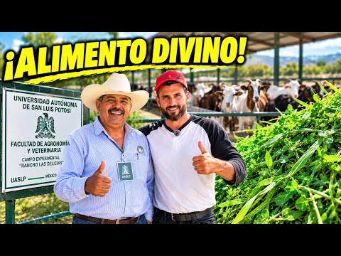 ¿Por qué la CABRA es el "Alimento de los Dioses"? 🐐 Charla con el Maestro Martín Montoya