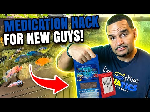 Why Your Fish Stopped Eating and How Rons Medicated Food Can Help