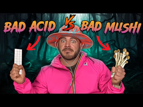 What Bad A$1D Trlp Feels Like VS Bad SHR00M Trlp | EDUCATION