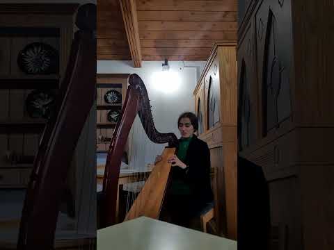 Brian Boru's March, Irish Traditional Music.           #Harp #Episode04