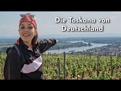 Rheinhessen - The Tuscany of Germany - Hiking, Wineries & Highlights
