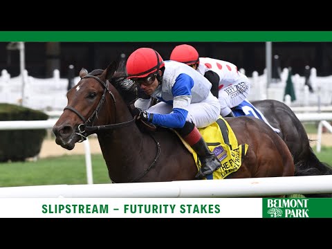 Slipstream - 2021 - The Futurity