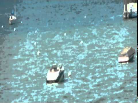 Yashometi Tahoe Reino.mpg