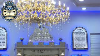 בית הכנסת יזדים • פורים דמוקפים תשפ'ו (בית הכנסת מוסאיוף) - התמונה מוצגת ישירות מתוך אתר האינטרנט יוטיוב. זכויות היוצרים בתמונה שייכות ליוצרה. קישור קרדיט למקור התוכן נמצא בתוך דף הסרטון