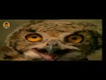 Dayasagar Hindi Title Song Mick