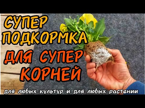 САМОЕ ЛУЧШЕЕ УДОБРЕНИЕ ДЛЯ КОРНЕЙ.❗️Супер корень за 3-4 дня❗️ ДЛЯ ЛЮБЫХ КУЛЬТУР, НА ЛЮБЫЕ СЛУЧАИ.