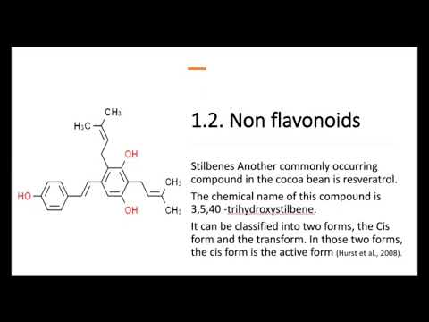 Dark chocolate effect on human brain health.