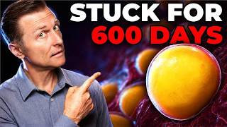You Will NEVER Consume Seed Oils Again After Watching This