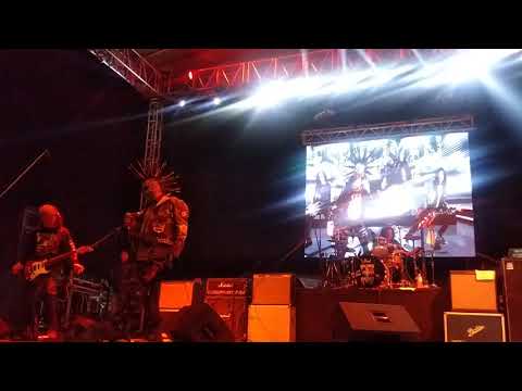 especimen manicomio años luz