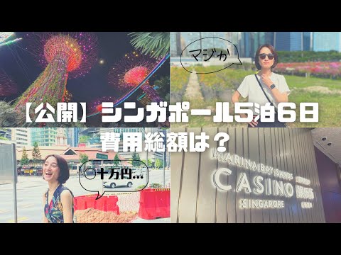 芸術・表現行動学科 【◯十万円】シンガポール5泊6日旅行の費用総額は？Vlog総集編〜スクートで行ってマリオット宿泊〜