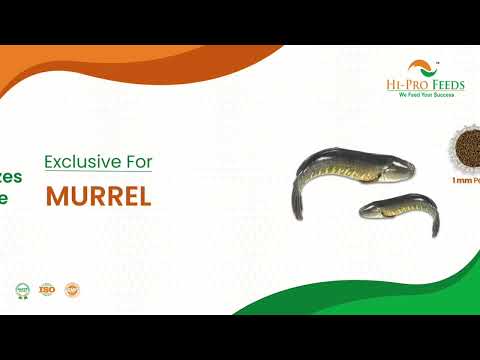 25kg 1mm Channa Premium Murrel Fish Feed