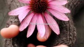 Take My Hand For A While