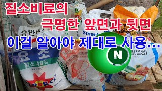 질소비료의 극명한 앞면과 뒷면, 이걸 알아야 제대로 사용할 수 있어(비료, 질소, 질소 역할, 질소 특성, …