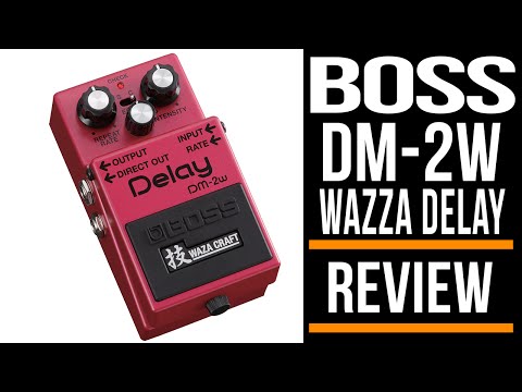 Boss Waza Craft DW-2w Delay Pedal | Guitar Effects Review | Michael Casswell