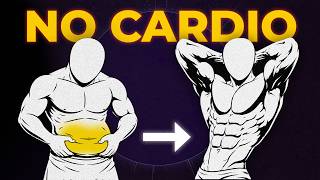 How to MELT belly fat without any cardio