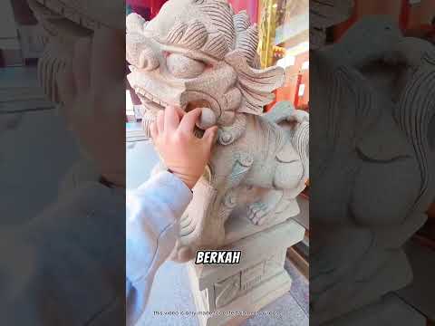 🦁 Batu Suci yang Hanya Bisa Diambil Orang Terpilih ✨ #shortsviral