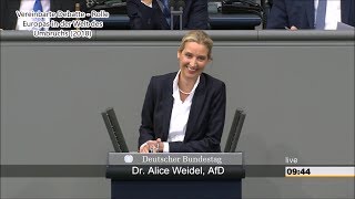 The best of Alice Weidel