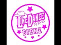 Wintergreen Lernvideo Teach & Dance Line Dance Biene Teil 2