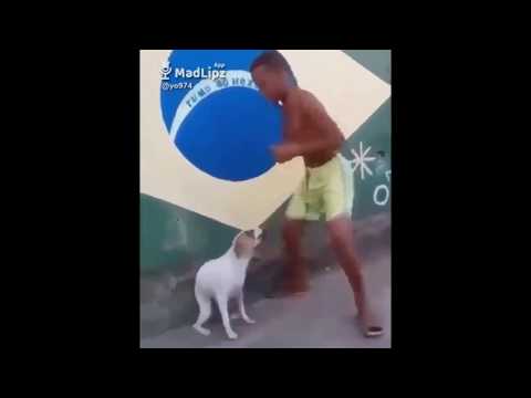 TIMIX - TARRAXOCONFIMIX (2020)