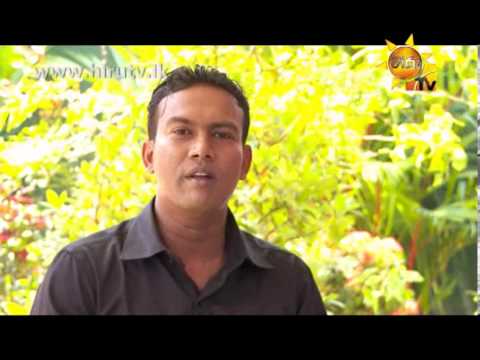 Hiru TV