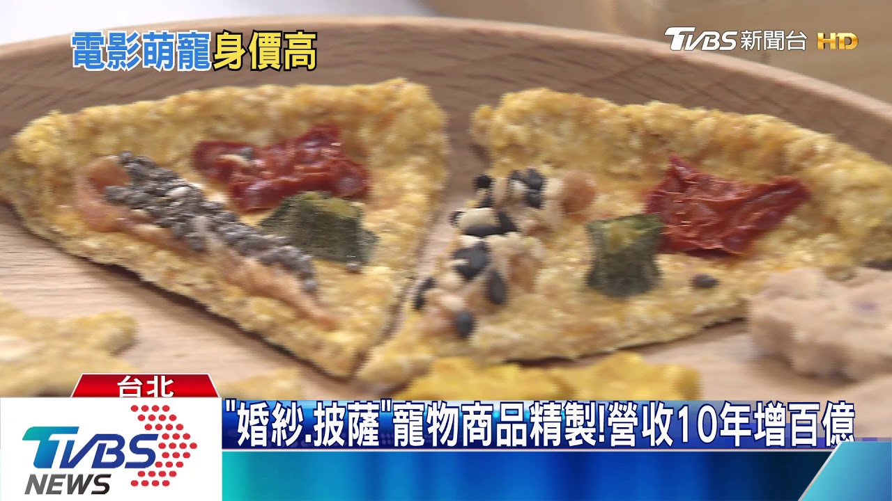 要價上萬元! 超萌「龍貓、狐獴」現身寵物展