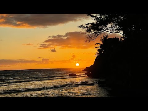 David Marston & Brigitte Zozula - Feel Your Soul (ft Frano) Slowed + Reverb