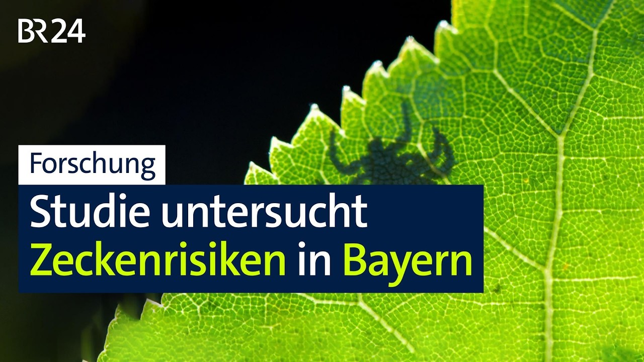 Forschung: Studie untersucht Zeckenrisiken in Bayern | BR24