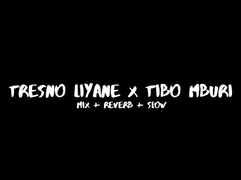 Tresno Liyane x Tibo Mburi ( Mix + Reverb + Slow ) CIDRO BARENG🎧