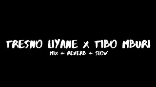 Download lagu Tresno Liyane x Tibo Mburi ( Mix   Reverb   Slow ) CIDRO BARENG🎧 mp3