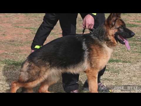 Olimpia de JIbor-Can