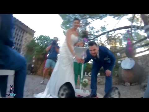 Perro entrando por el pasillo en boda con GoPro | Yes We Pet