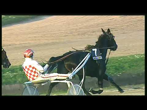 Trotto 08/11/2020 - 7ª corsa