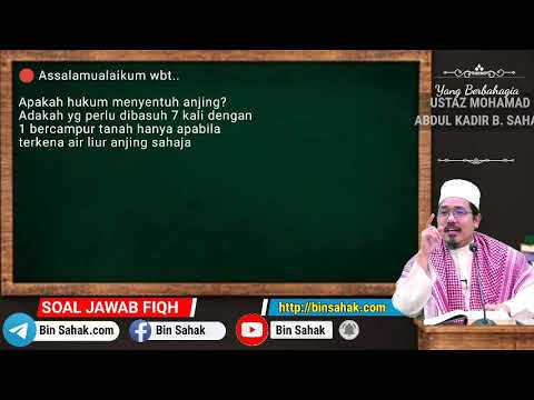 Hukum Menyentuh Anjing