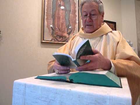 Homily 08/25/11
