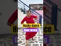 Husky Dance Gone Wrong End Policouple Huskydance Trending Funnyshorts Trending
