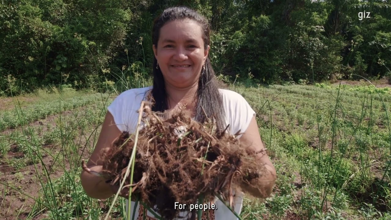 Cadeias de valor sustentáveis: conectando Brasil e Alemanha
