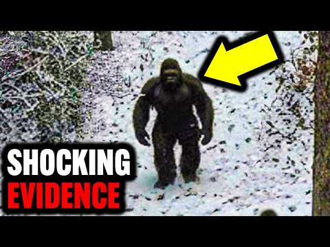 Die überzeugendsten Bigfoot-Beweise aller Zeiten | Expedition Bigfoot