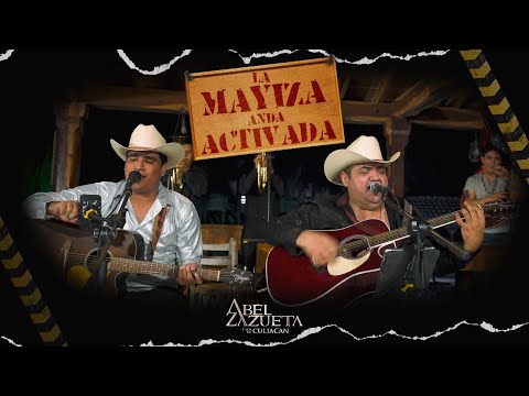 Abel Zazueta Y Los De Culiacán // LA MAYIZA ANDA ACTIVADA (CORRIDOS EN VIVO 2022)