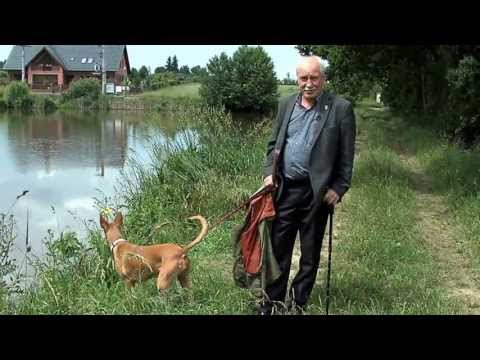 Zdeněk Herout, starosta Milevska