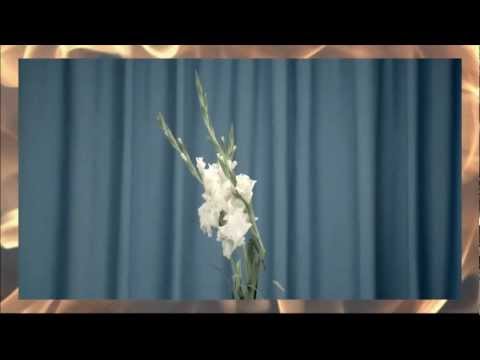 KARANYI - CELEBRATE LIFE  ONLY VIDEO mixed with Benny Benassi - Satisfaction