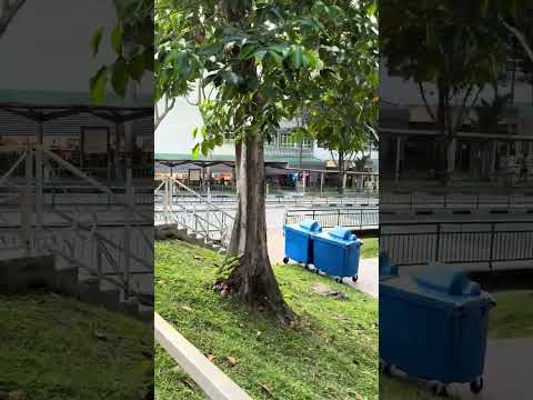 13 Holland Drive, 13 Holland Drive, 2 Bedrooms, 700 sqft, HDB Flat For Sale, by JUDY FOO, 25516422 - PropertyGuru.com.sg