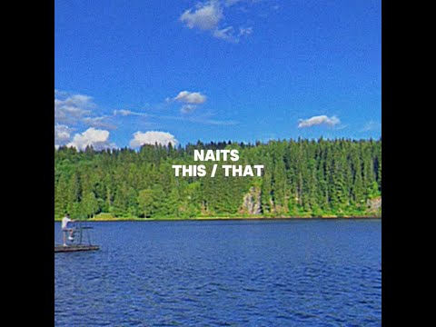 Naits - this / that (lyric video)