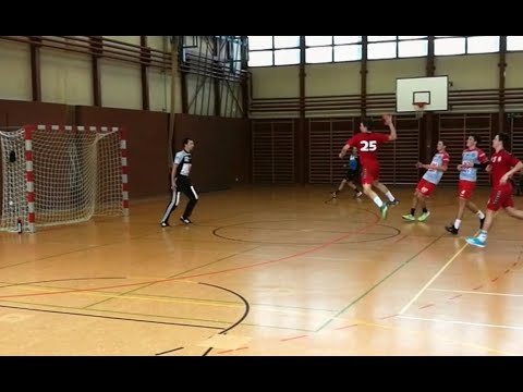 Zurzibiet-Endingen vs. Handball Seetal 31:21