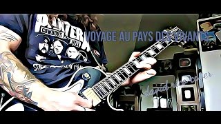 Johnny Hallyday -voyage au pays des vivants -live Bercy 92 cover guitare