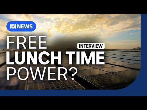 Is the government's plan to give free power not as good as it seems? | The Business | ABC NEWS