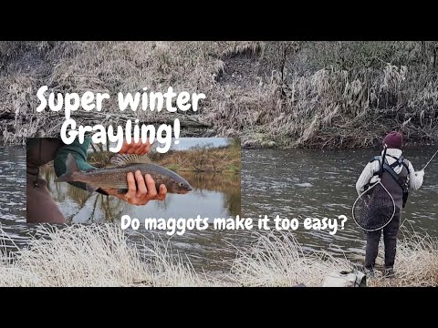 Great fun trotting for winter Grayling - Learning points and tips!