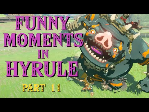 Funny Moments in Hyrule Part 11 | The Legend Zelda: Tears of the Kingdom